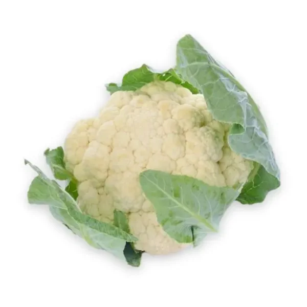 bong-cai-trang