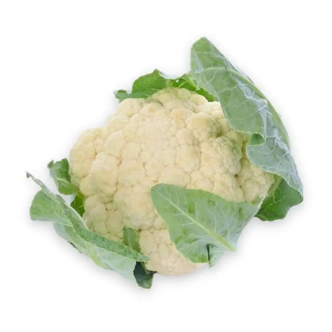 bong-cai-trang