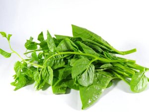rau-mong-toi-