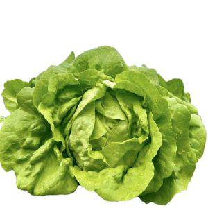 salad-my