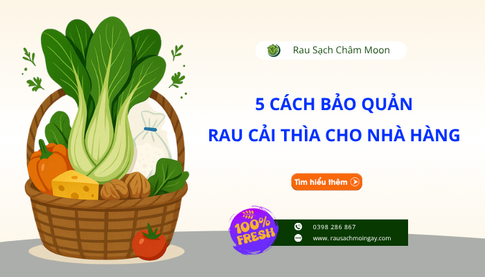 5 cách bảo quản cải thiện tốt hơn cho nhà hàng.