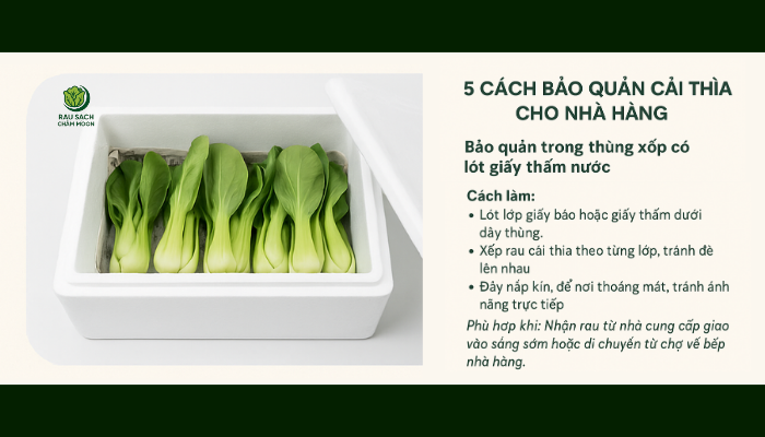 Cách bảo quản rau cải tiến bằng dụng cụ kín khí.