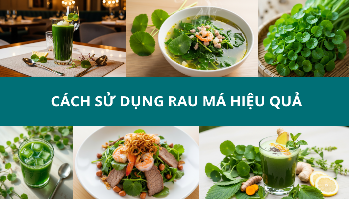 cach-su-dung-rau-ma