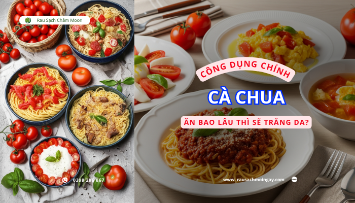 cong-dung-ca-chua-trang-da