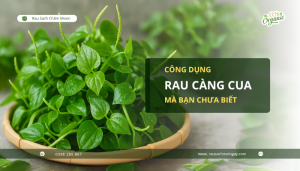 cong-dung-rau-cang-cua