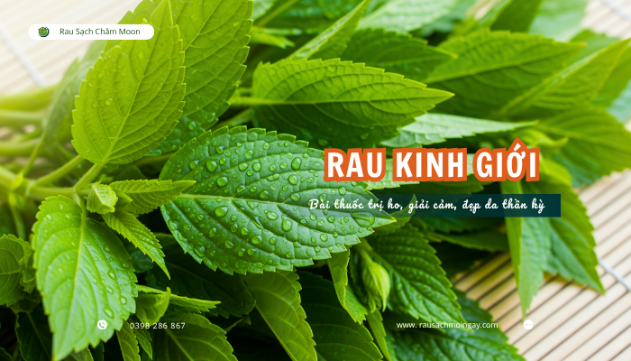 cong-dung-rau-kinh-gioi