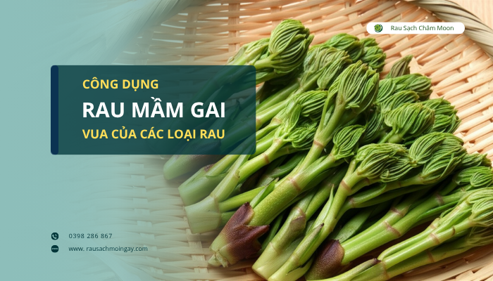 cong-dung-rau-mam-gai