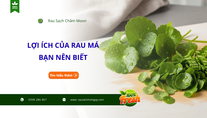 loi-ich-cua-rau-ma