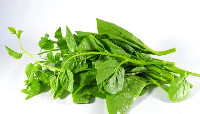 Mồng Tơi tươi ngon.