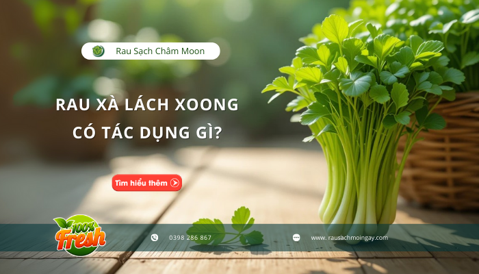 rau-xa-lach-xoong-co-tac-dung-gi