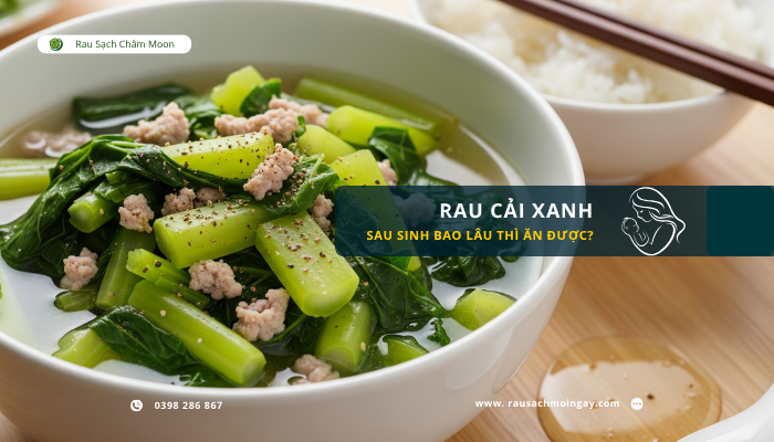 sau-sinh-bao-lau-thi-an-duoc-rau-cai-xanh