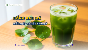 uong-rau-ma-moi-ngay-co-tot-khong