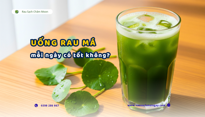 uong-rau-ma-moi-ngay-co-tot-khong
