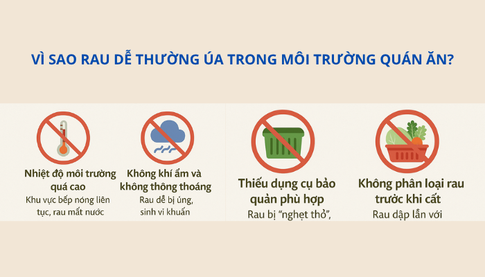 Vì sao rau dễ thường úa trong môi trường quán ăn?