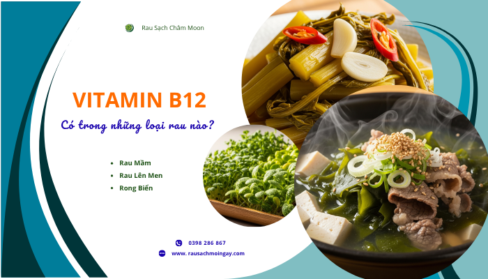 vitamin-b12-co-trong-nhung-loai-rau-nao